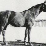 Zaran 473
