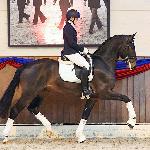 Turfhorst Total Diamond PS
