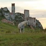 Perederjka<br />&copy; Sylwia Ilenda