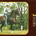 Banduke