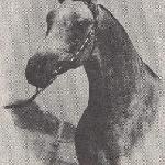 Prince Raffdazon