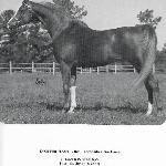 Dixie Fireflash