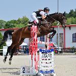 Kannante<br /><i>https://prohipo.pl/pl/Horses/Detail/1070?categoryId=5</i>