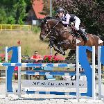 Kannante<br /><i>https://prohipo.pl/pl/Horses/Detail/1070?categoryId=5</i>