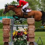 Alano (Ambler Gambler)