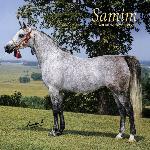 Samim
