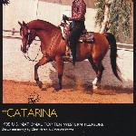 Catarina