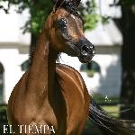 El Tiempa