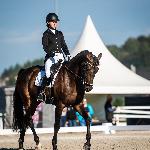 Travenort’s Diabolo<br />&copy; Julia Świętochowska<br /><i>fb Dressage24.pl</i>