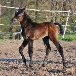 Etania - w wieku 8 dni<br />&copy; Anna Pyzara-Nakoniechna