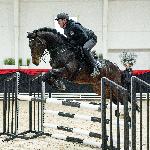 Con Corneto<br /><i>https://prohipo.pl/pl/Horses/Detail/1071</i>