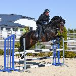 Con Corneto<br /><i>https://prohipo.pl/pl/Horses/Detail/1071</i>
