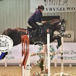 Czandor One<br />&copy; Katarzyna Wiszowaty<br /><i>https://www.pzhk.pl/fotogaleria/rok-2021/ppo-po-treningu-wierzchowym/</i>