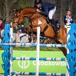 Keisha Progres ex. Keisha B<br />&copy; fb Olaf Klein Showjumper