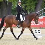 Bonheur-WM<br />&copy; Katarzyna Wiszowaty