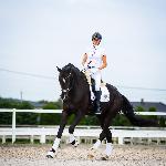 Zalgarii Royal<br />&copy; Julia Świętochowska<br /><i>fb Dressage24.pl</i>