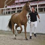 Mister W<br />&copy; Katarzyna Wiszowaty