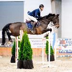 Cycera<br /><i>https://nicponhorses.eu/cycera/</i>