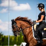 Destino<br />&copy; Julia Świętochowska<br /><i>fb Dressage24.pl</i>