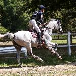 Api du Libaire<br />&copy; Mathilde Vial / Equestrian News<br /><i>https://equestrian-news.fr/portrait-api-du-libaire-un-grand-monsieur/</i>