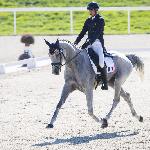 Api du Libaire<br />&copy; Richard Juilliart / FEI<br /><i>https://equestrian-news.fr/portrait-api-du-libaire-un-grand-monsieur/</i>