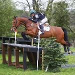 Shanaclough Contadora<br />&copy; Equus Pix Photography<br /><i>https://www.theirishfield.ie/breeders-10-john-glynn-shanaclough-calling-583047</i>