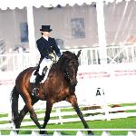 Boleybawn Prince