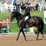 Cyril<br /><i>https://www.muller-equine.cz/reprodukce-koni-1/historie-stanice/rok-201</i>
