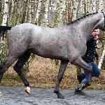 Ace RG Z - AES Grading Poland 2020<br />&copy; Beata Glista-Piwko