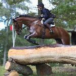 Quattrino<br /><i>https://swbgate.com/index.php?option=com_content&view=article&id=1584:2018-08-27-00-02-33&catid=22:sport-a-breeding-news&Itemid=18</i>