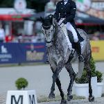 Geke Equigrip's Levinio (Levinio)<br /><i>https://sosath.com/en/stallions/detail/geke-equigrip-s-levinio</i>