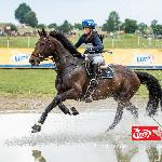 Box Leo<br />&copy; Leszek Wójcik