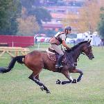 Aracne dell'Esercito Italiano