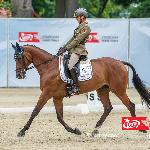 Aracne dell'Esercito Italiano<br />&copy; Leszek Wójcik