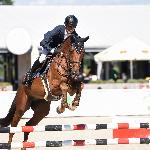 Lancelot<br /><i>https://sportowyczempionat.pl/pl/czempiony.html#gallerydb5aa6ef6a</i>