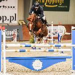 K'Ermitage Premices Z<br /><i>https://pbhorses.pl/konie/</i>