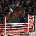 Quidam's Adel