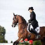 Herzregent 2<br />&copy; Julia Świętochowska<br /><i>fb dressage24.pl</i>