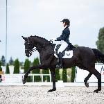 Dreamcat<br />&copy; Julia Świętochowska<br /><i>fb dressage24.pl</i>