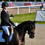 Blacky<br /><i>fb Dressage24.pl</i>