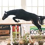 Charming R - V SCPMK Racot 2025<br />&copy; Paula Bartkowiak