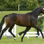 Zauberlied