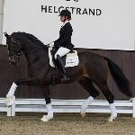 Elastic<br />&copy; Helgstrand Dressage