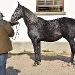 Parys - 2021<br />&copy; Katarzyna Wiszowaty