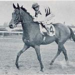 Black Helen