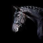 Vanity Fair<br />&copy; Oliwia Chmielewska 2024