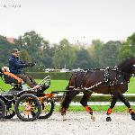 Belmondo (RO)<br />&copy; Katarzyna Broda ( faraa )