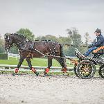 Belmondo (RO)<br />&copy; Patrycja Szymańska