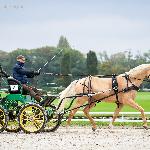 Extremist Agro-Mat<br />&copy; Katarzyna Broda ( faraa )