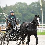 Brutto (GI)<br />&copy; Katarzyna Broda ( faraa )